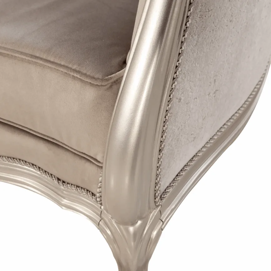 Mona Champagne silver Accent Chair. - Image 5