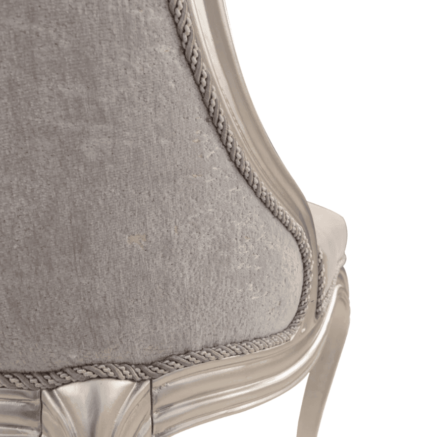 Mona Champagne silver Dining Chair. - Image 7