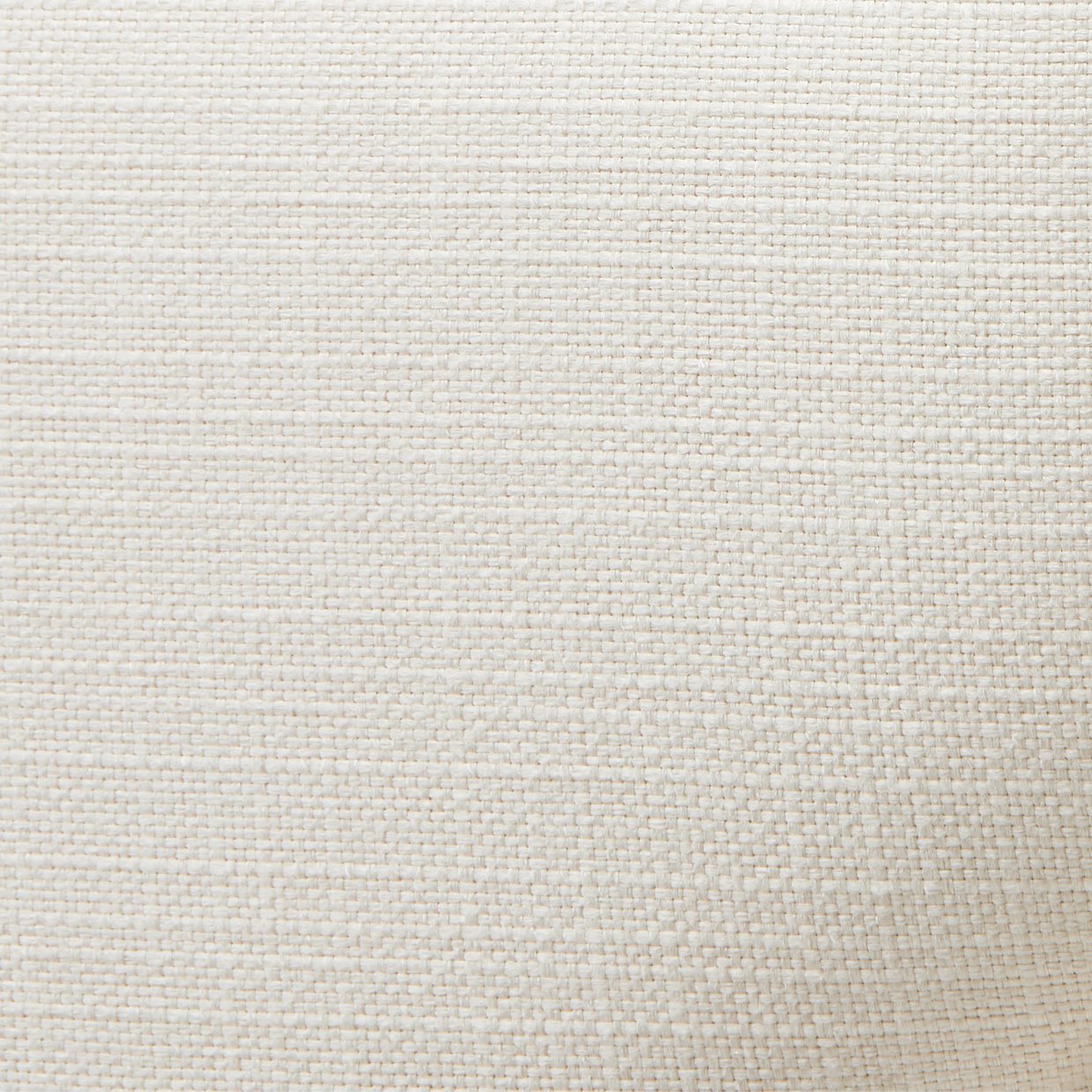 Camellia field caramel - Image 13